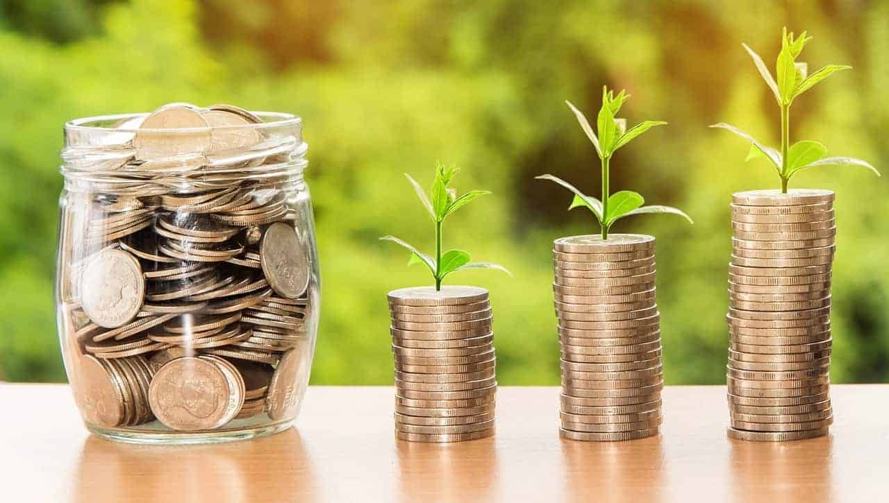 Bütçe Yönetimi Ve Minimalist Yaklaşım 1 Bütçe Yönetimi Ve Minimalist Yaklaşım